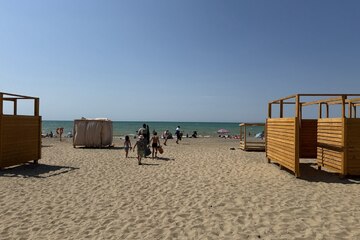 Ведение садоводства, 10 сот.
